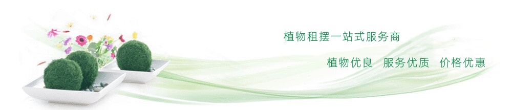 成都心怡花卉租赁有限公司网站banner